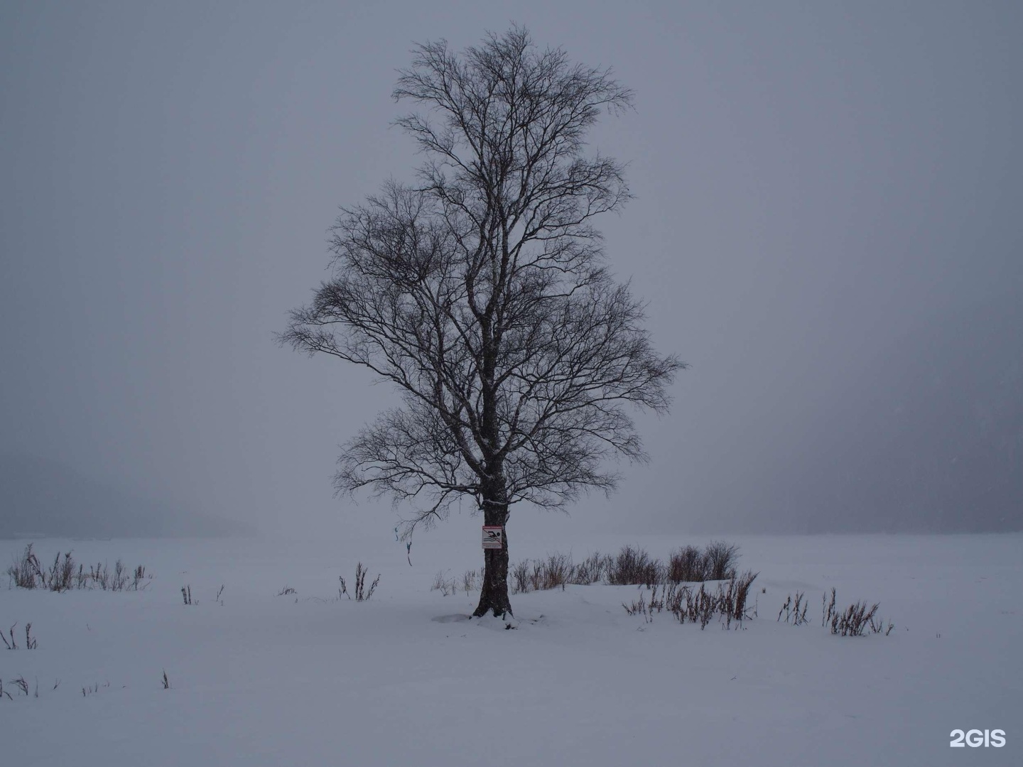 Алтын-Кёль - фото 97