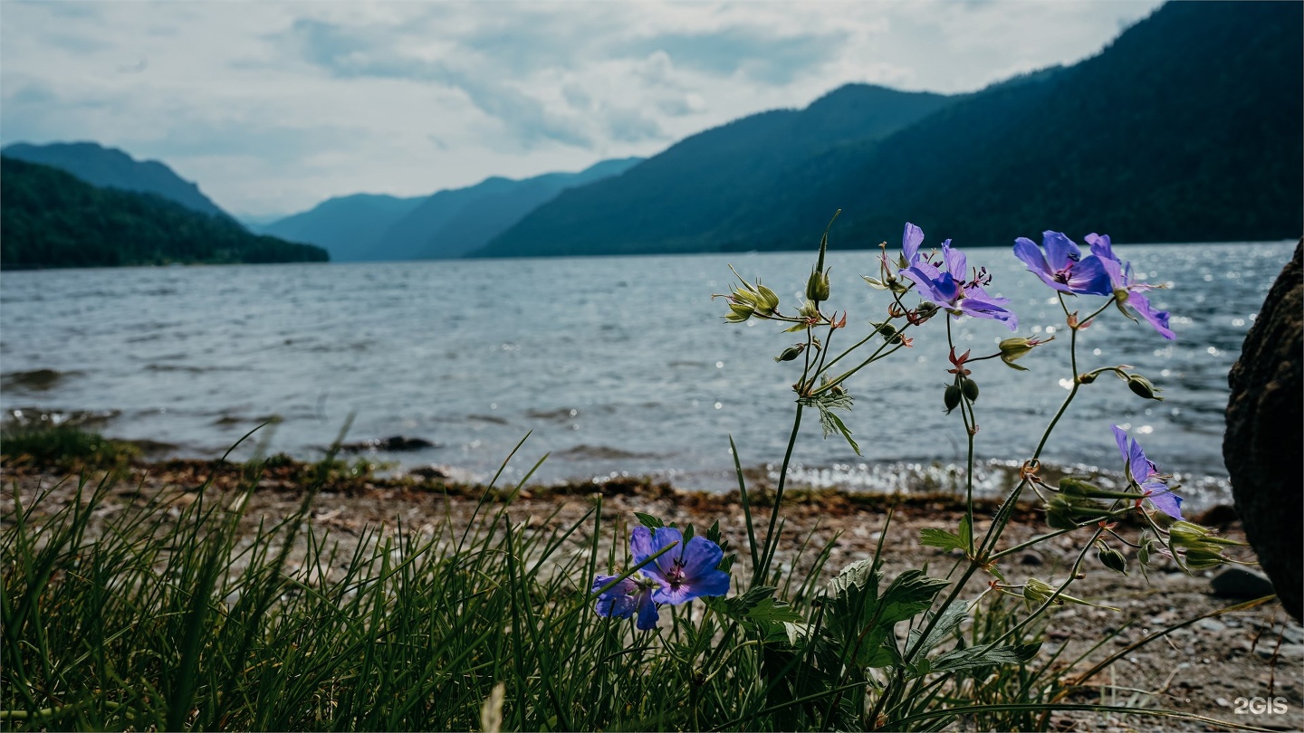 2-местный 2-комнатный стандарт первой категории Главный корпус 2 балкона - фото 10