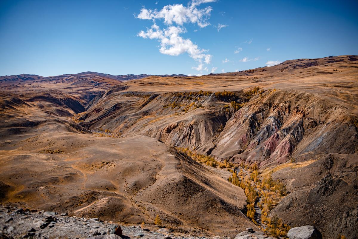 Осенние краски Алтая - фото 2