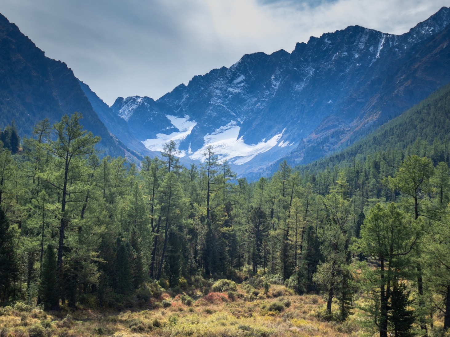 ООО "АЛТАЙ ТУР" - фото 2