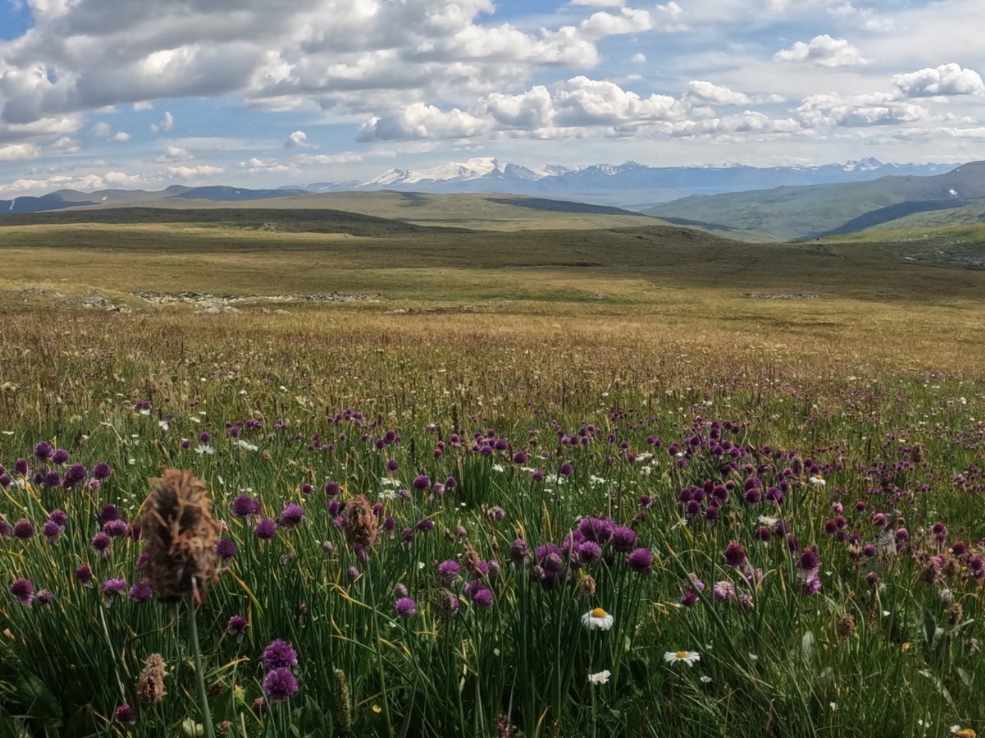 ООО "АЛТАЙ ТУР" - фото 5