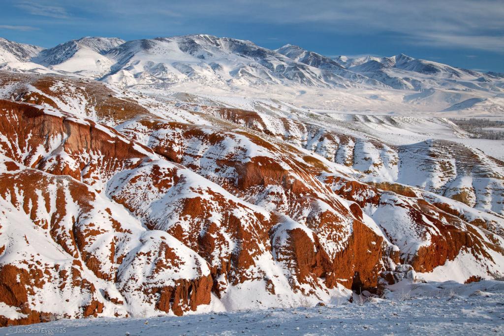 Марс-1 - фото 6