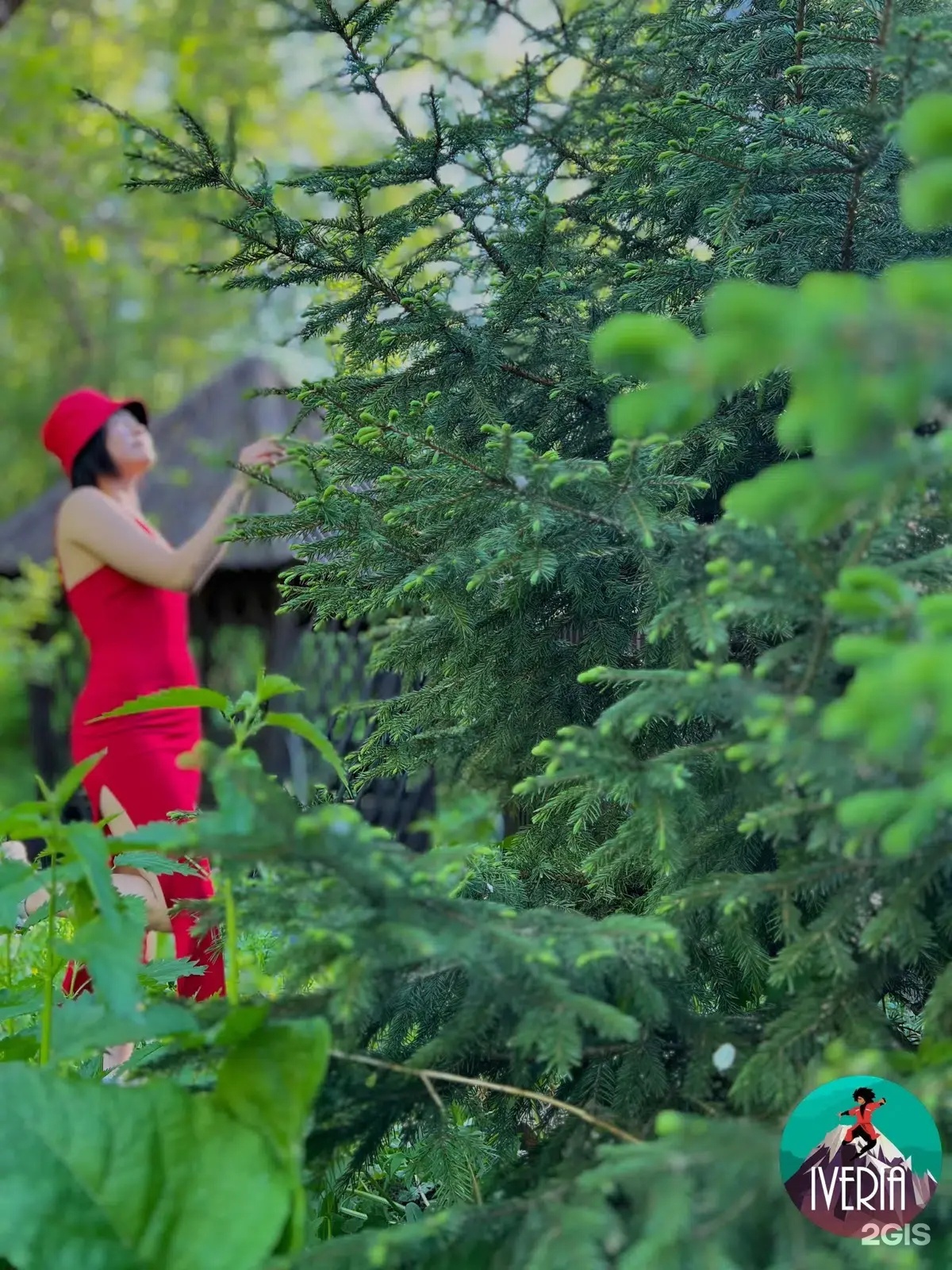 Иверия - фото 40