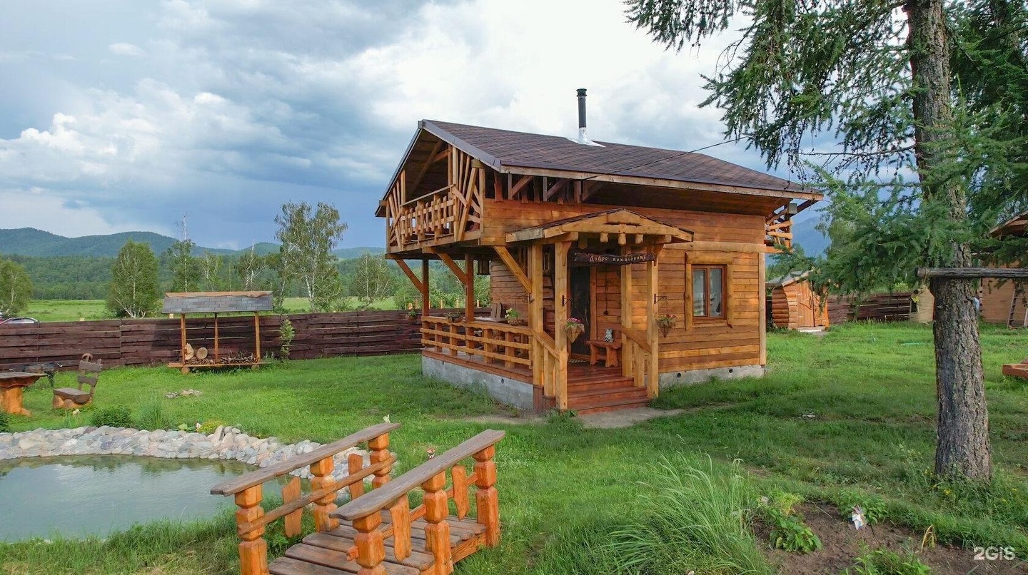 Медуница - фото 1