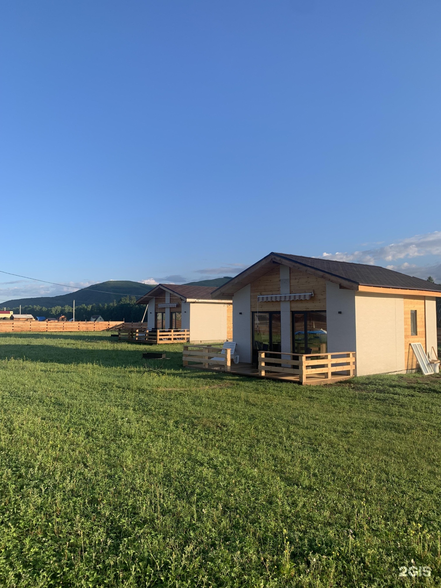 Медуница - фото 10