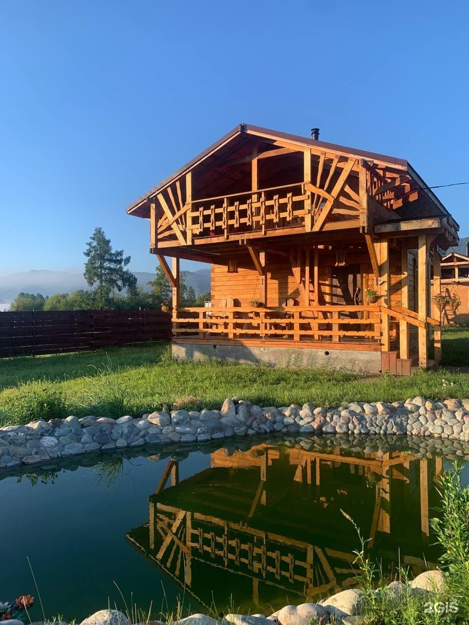 Медуница - фото 17