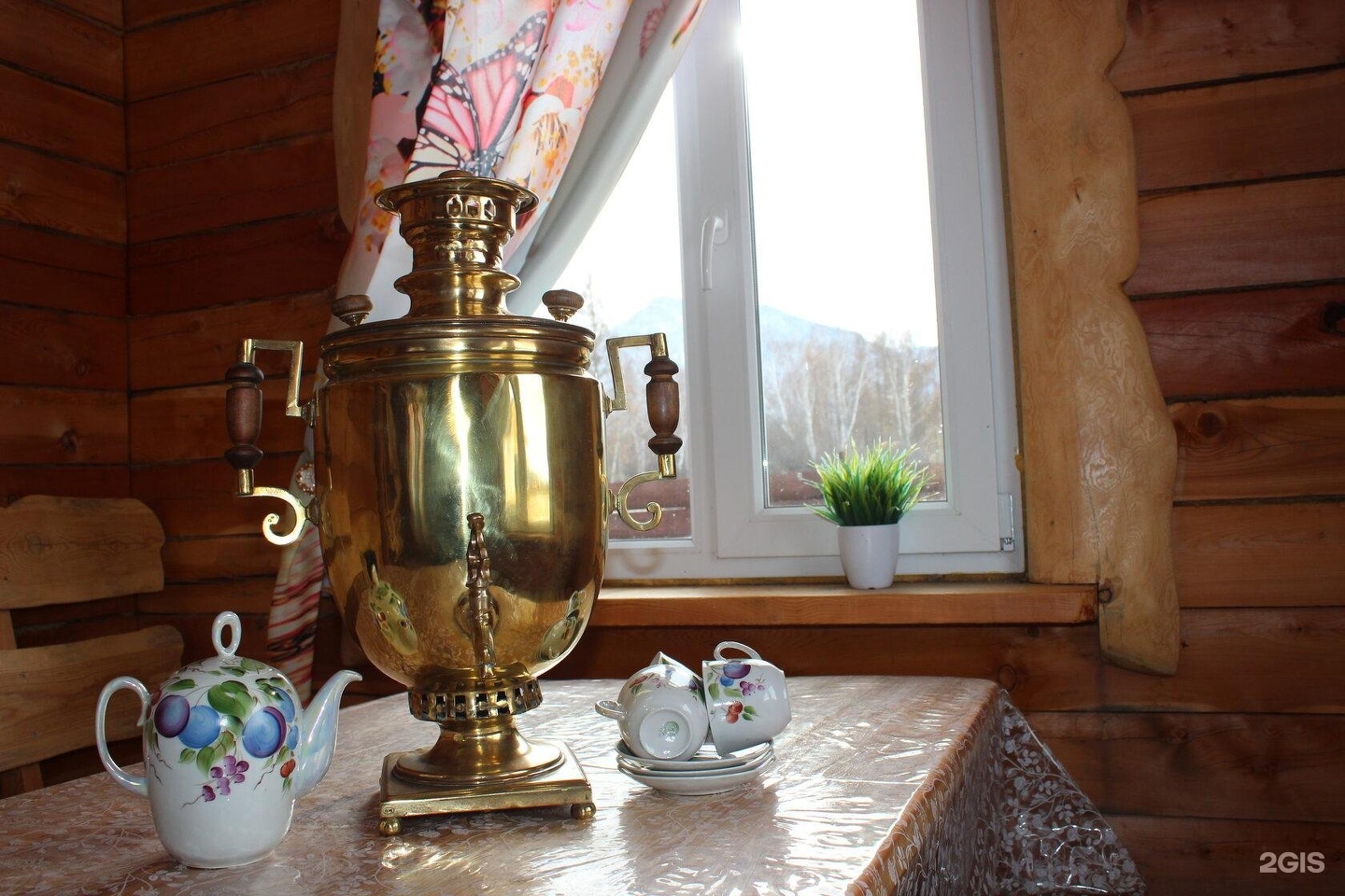 Медуница - фото 27