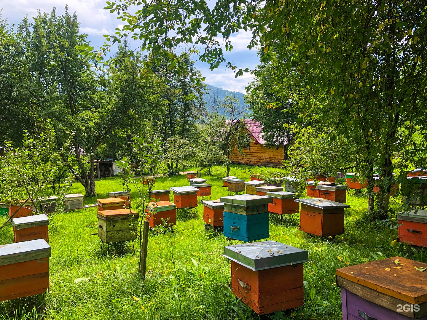 Усадьба Сокол - фото 19