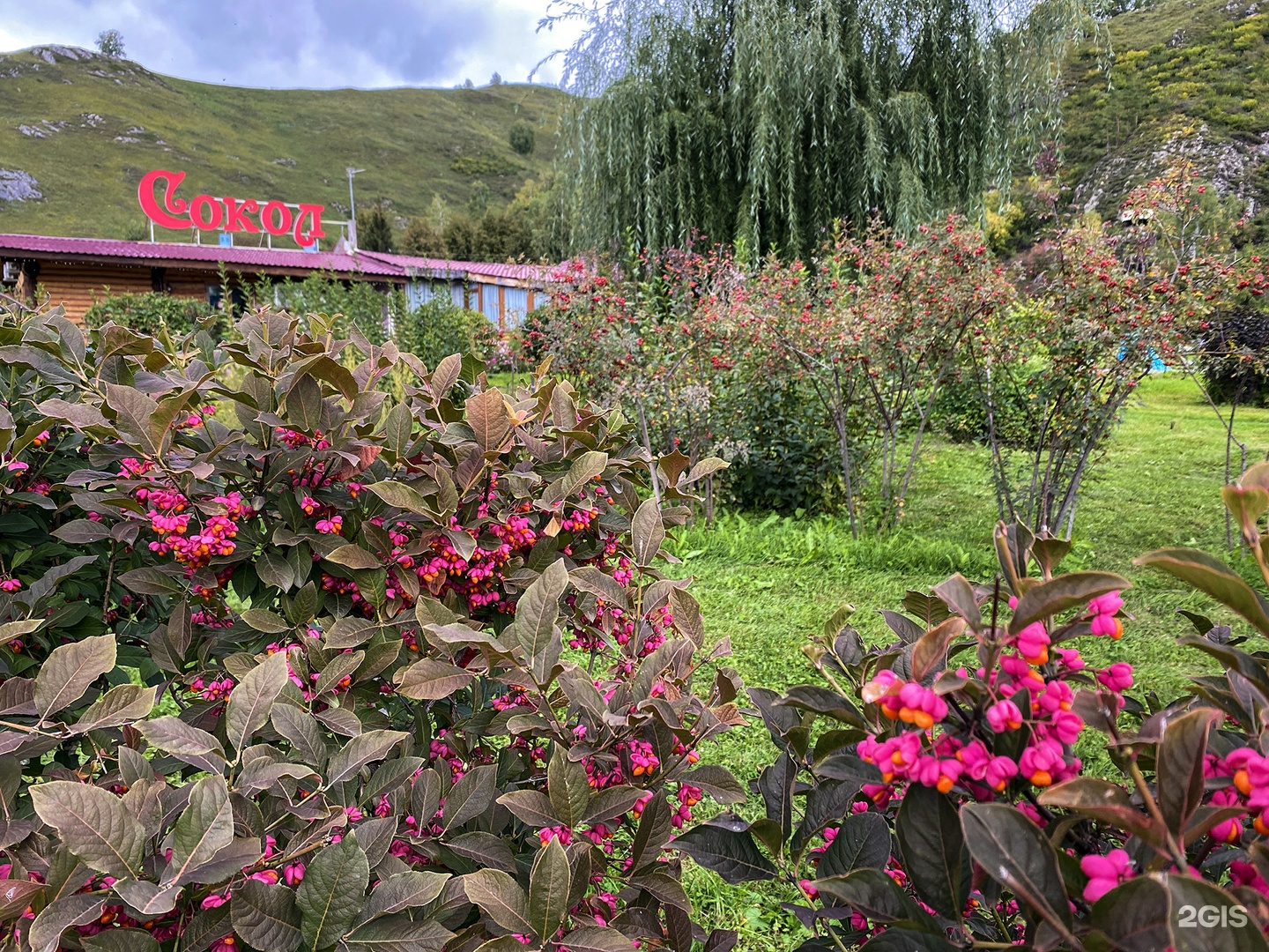 Усадьба Сокол - фото 90