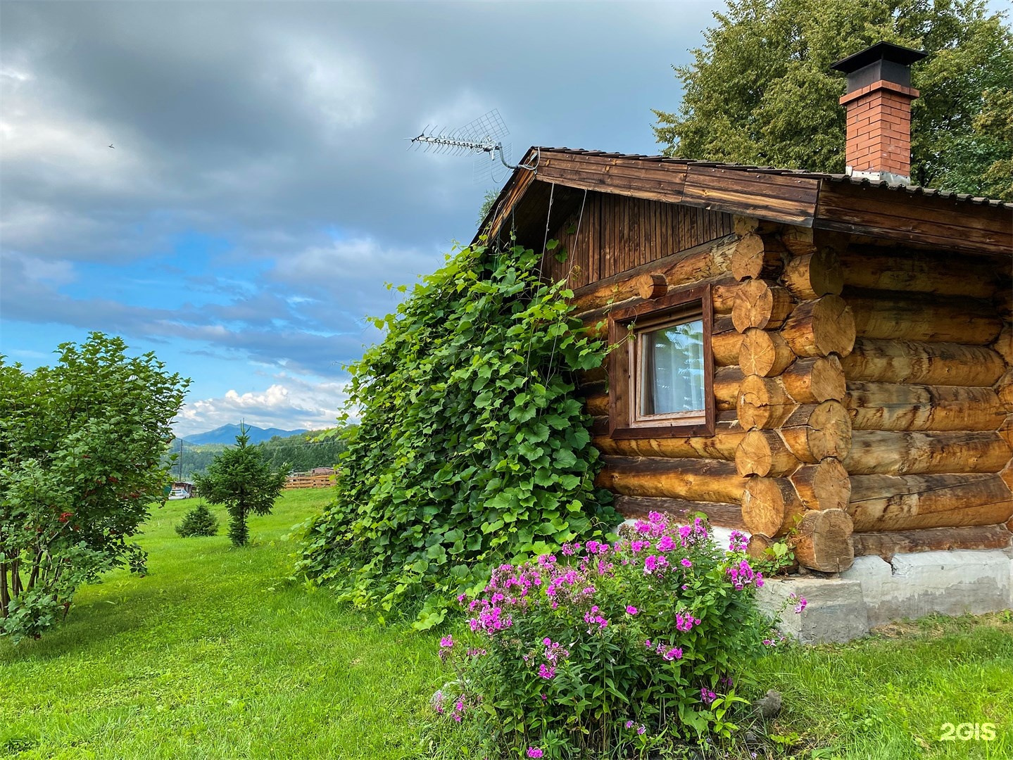 Кедровый дом 1 - фото 1