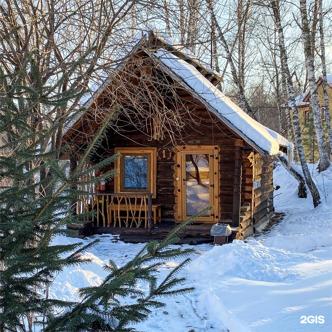 Сосновый дом 1. Изба травника. - фото 3