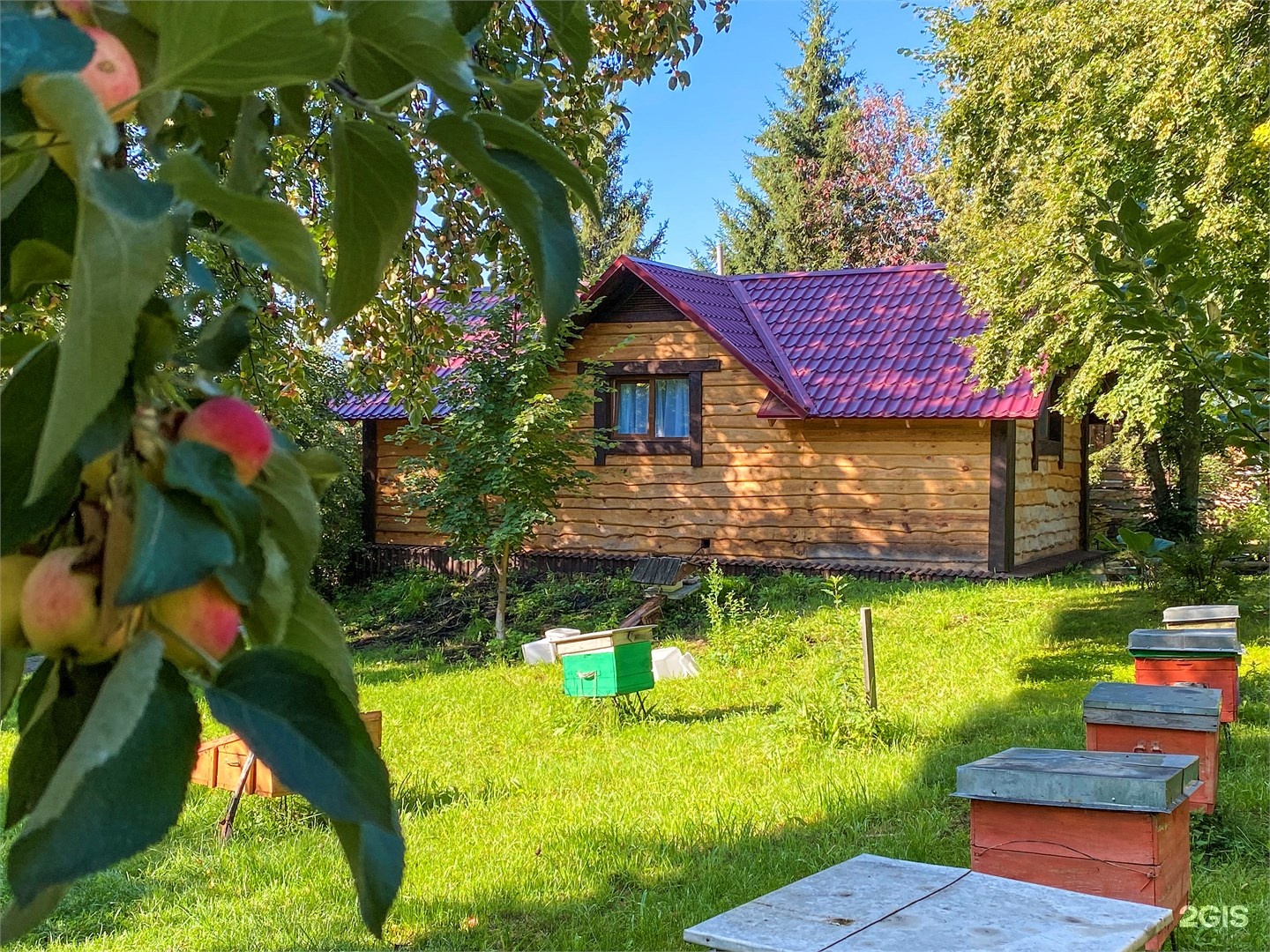 Пчёлки, 1 - фото 2