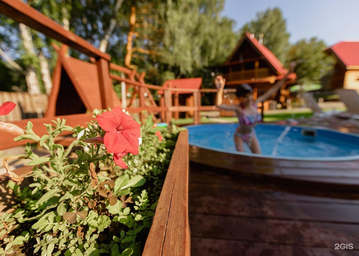 На Шумах - фото 13