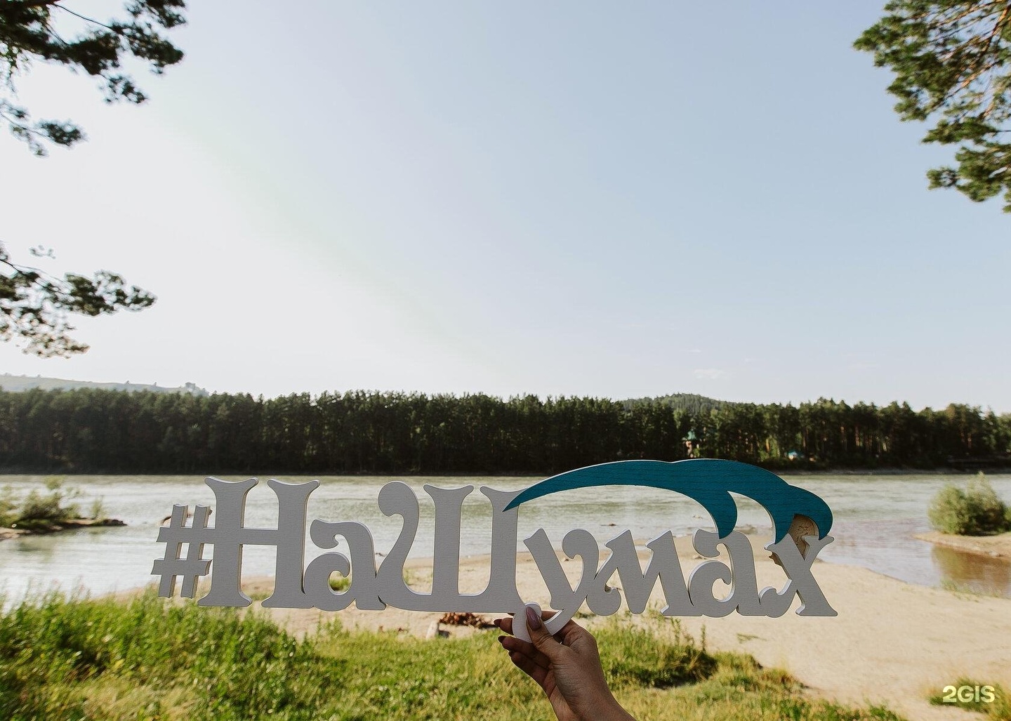 На Шумах - фото 29