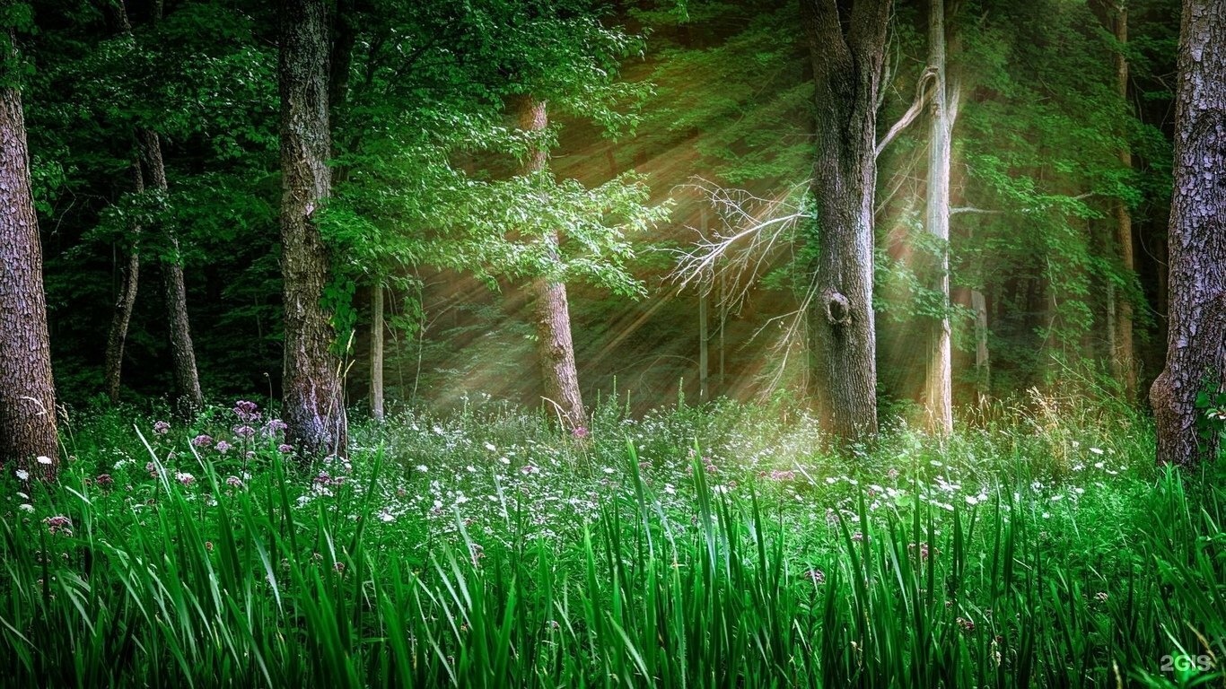 Баба-Яга - фото 35