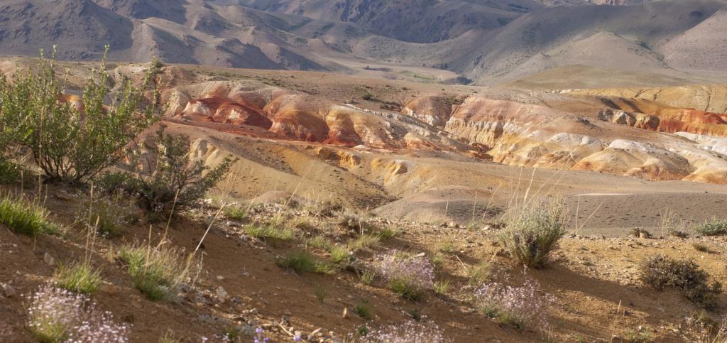 Марс-1 - фото 5