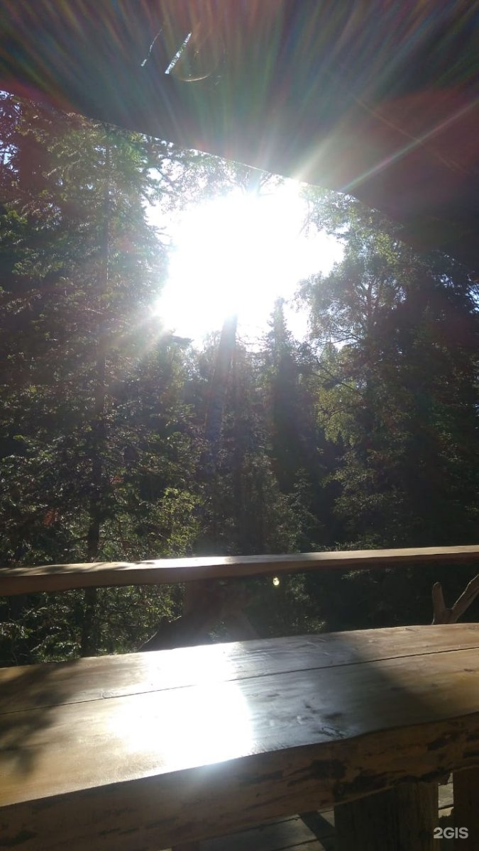 Баба-Яга - фото 85