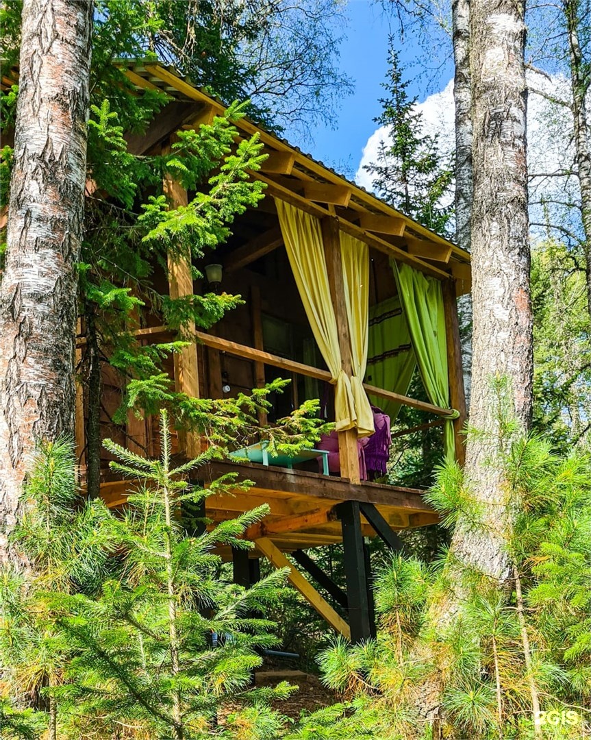 Домик на дереве - фото 1