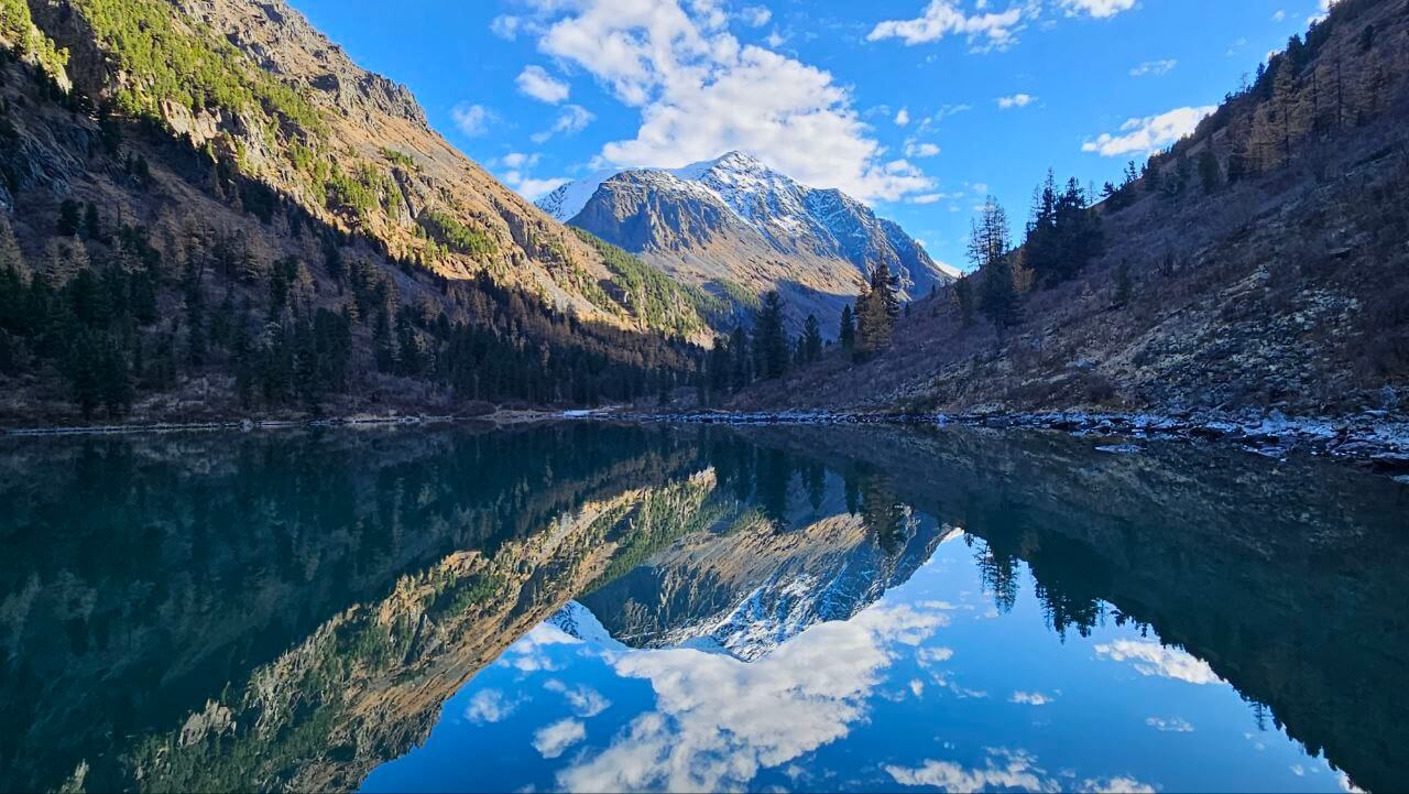 ООО "АлтайЦентр" - фото 1