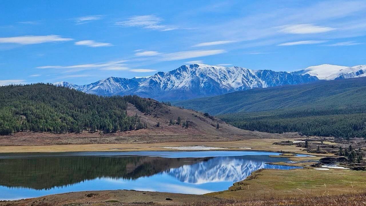 ООО "АлтайЦентр" - фото 2