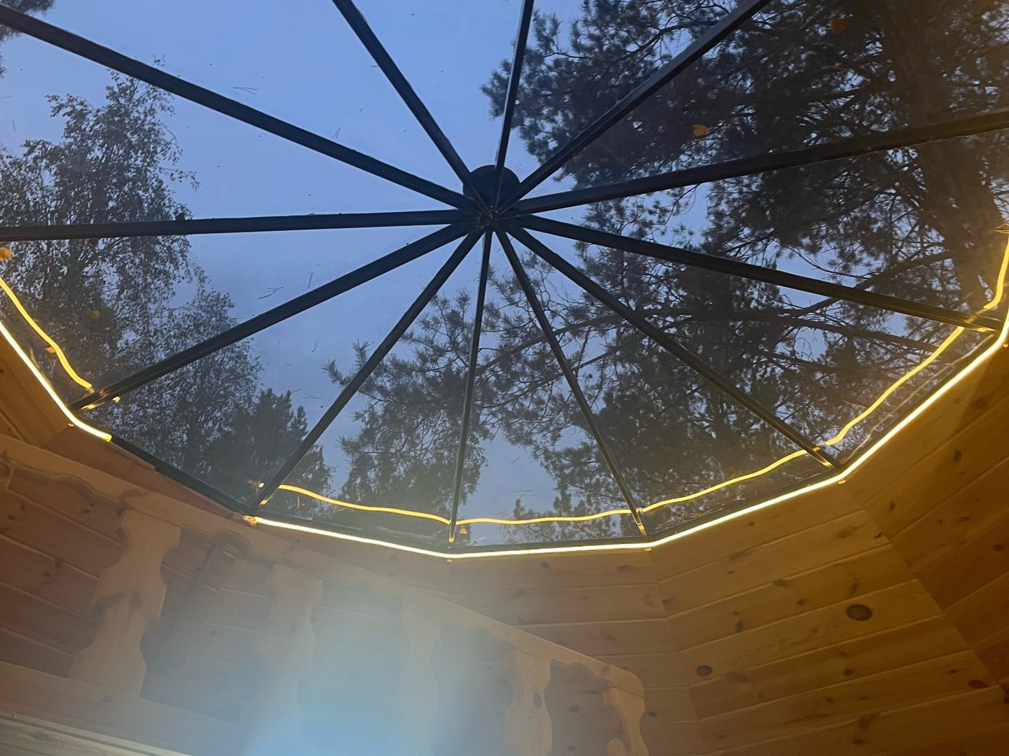 Кедровый Лафет - фото 2