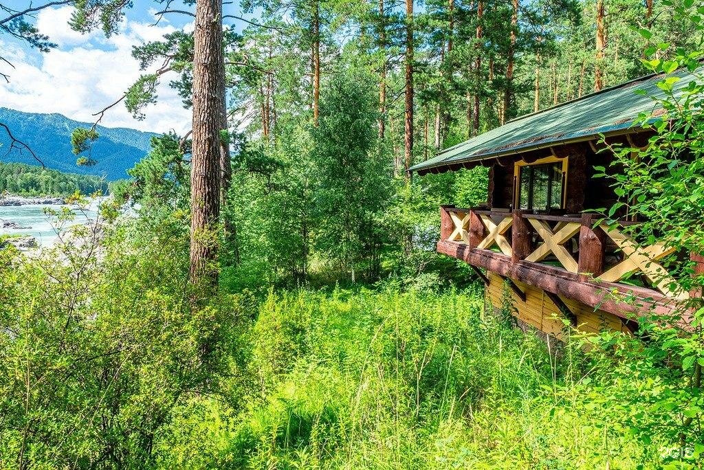 Кедровый Остров - фото 28