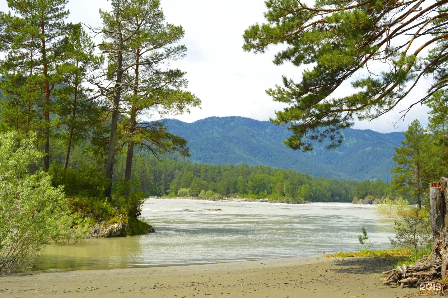 Кедровый Остров - фото 37