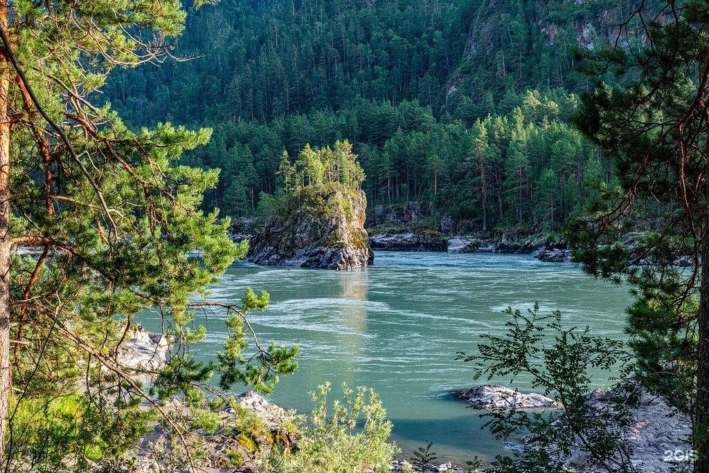 Кедровый Остров - фото 44