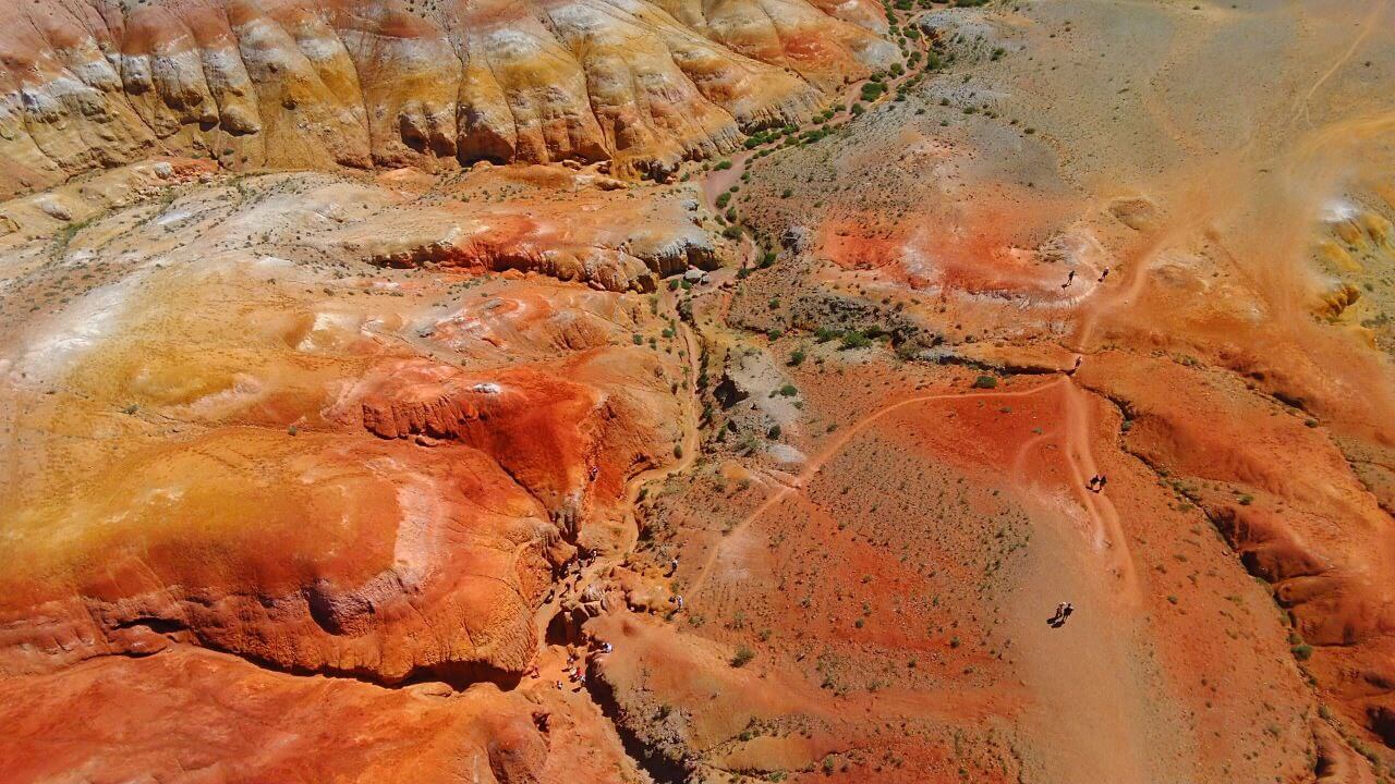 ООО "АлтайЦентр" - фото 6