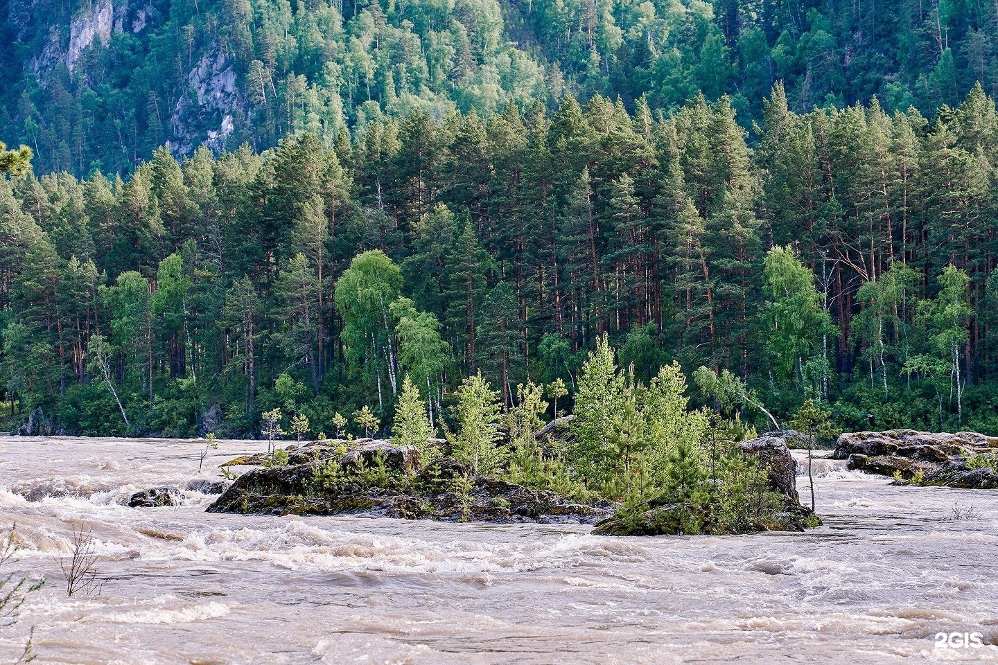 Кедровый Остров - фото 52