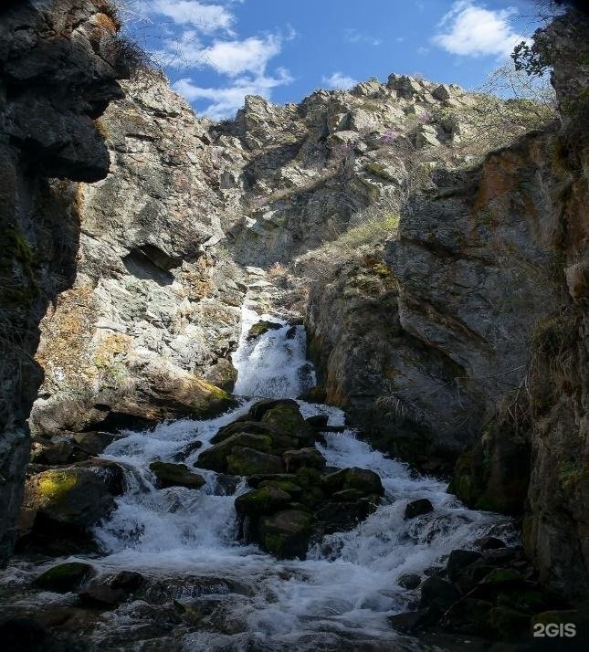 Кедровый Остров - фото 80