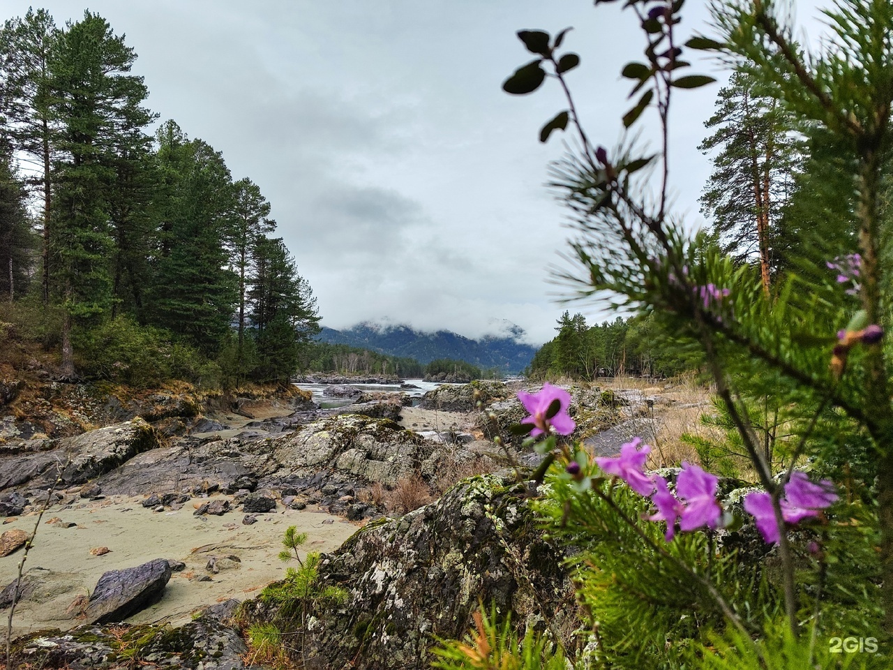 Кедровый Остров - фото 91