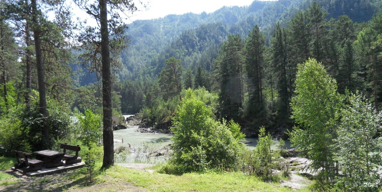 Кедровый Остров - фото 102