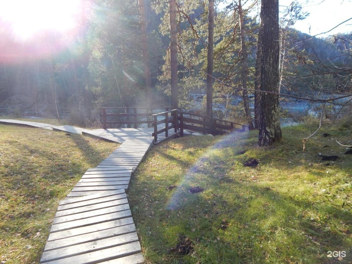 Кедровый Остров - фото 110