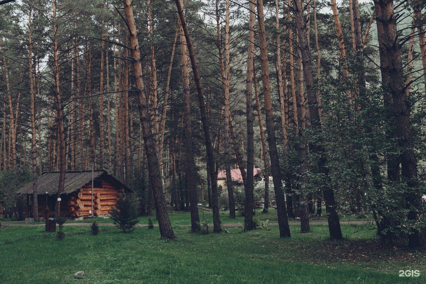 Деревня Берендеевка - фото 40