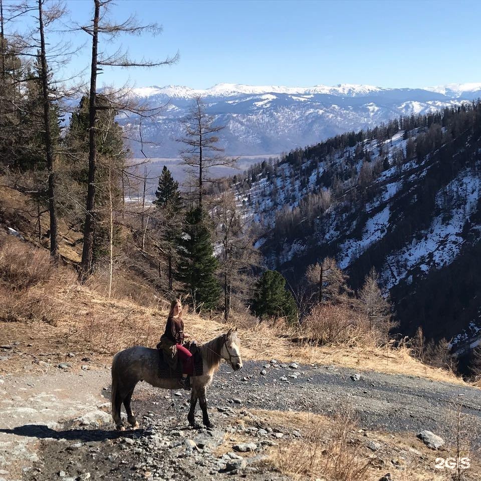 Ковчег - фото 28