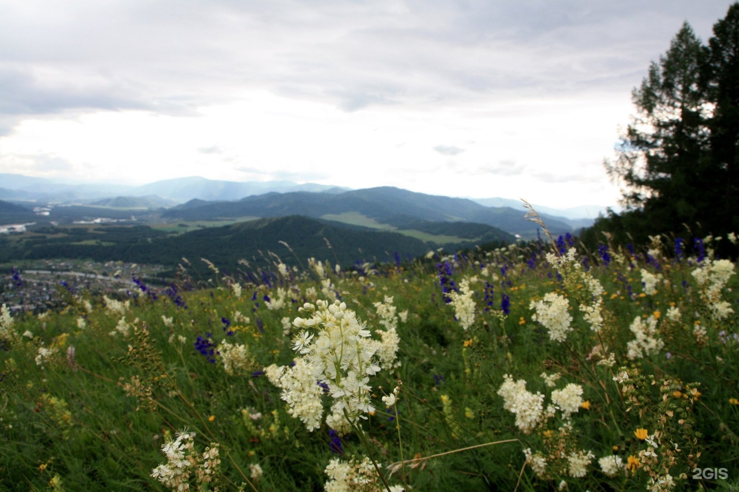 Ковчег - фото 39