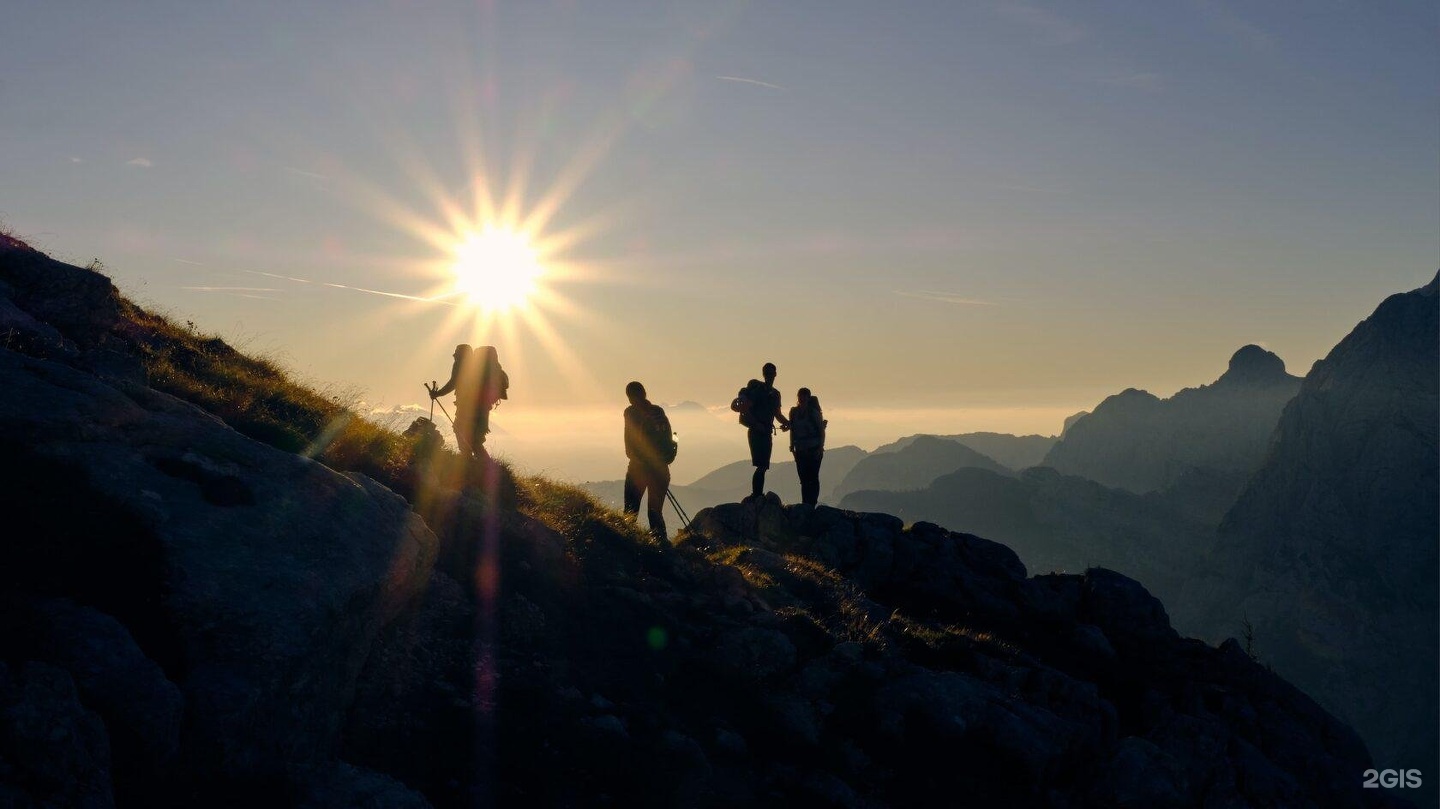 Ковчег - фото 42