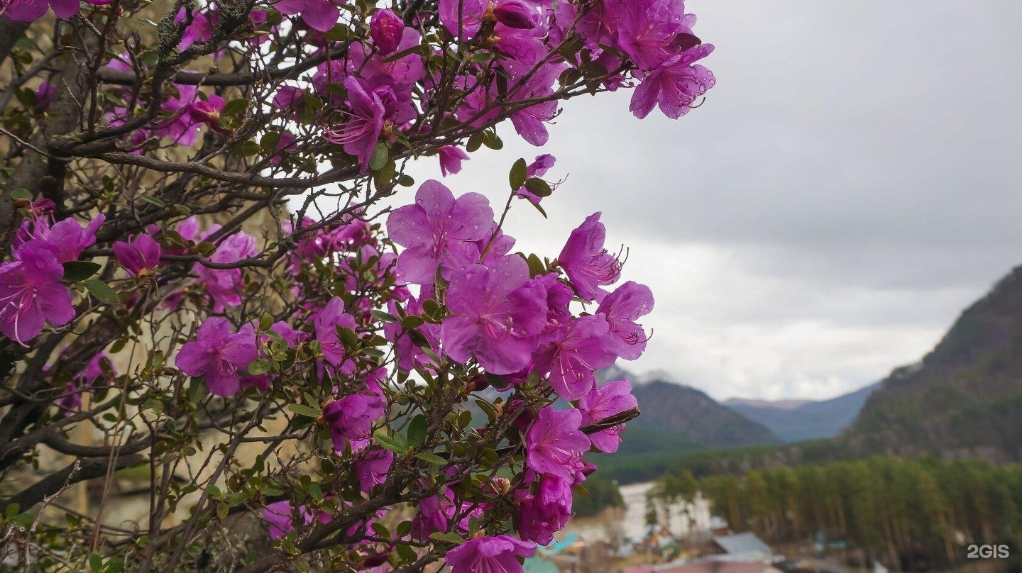 Ковчег - фото 63