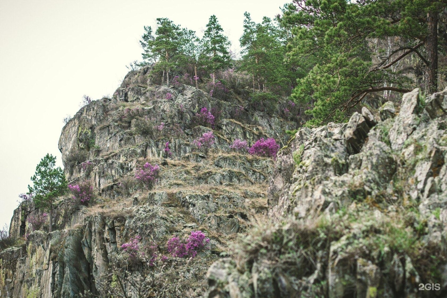 Ковчег - фото 71