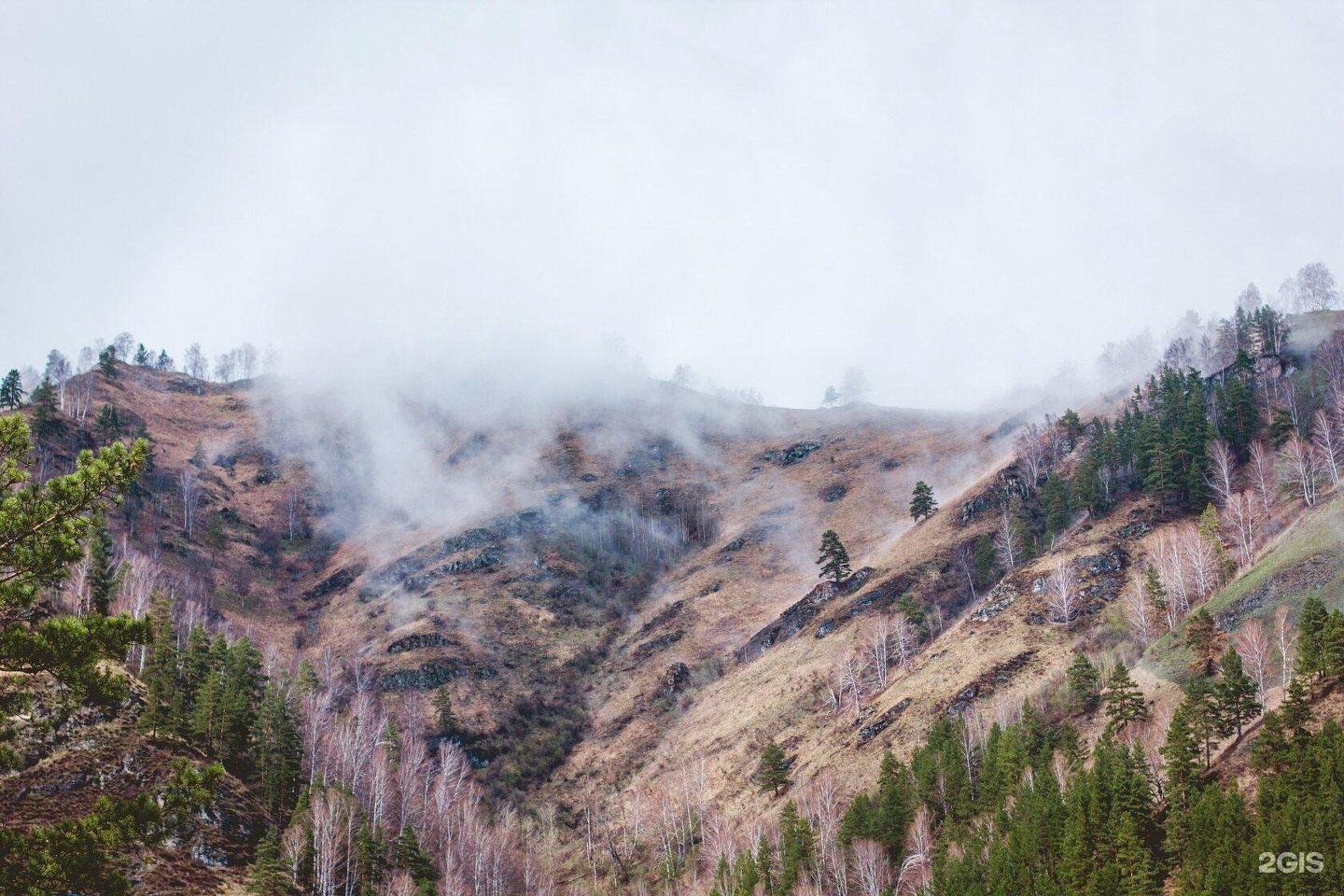 Ковчег - фото 105