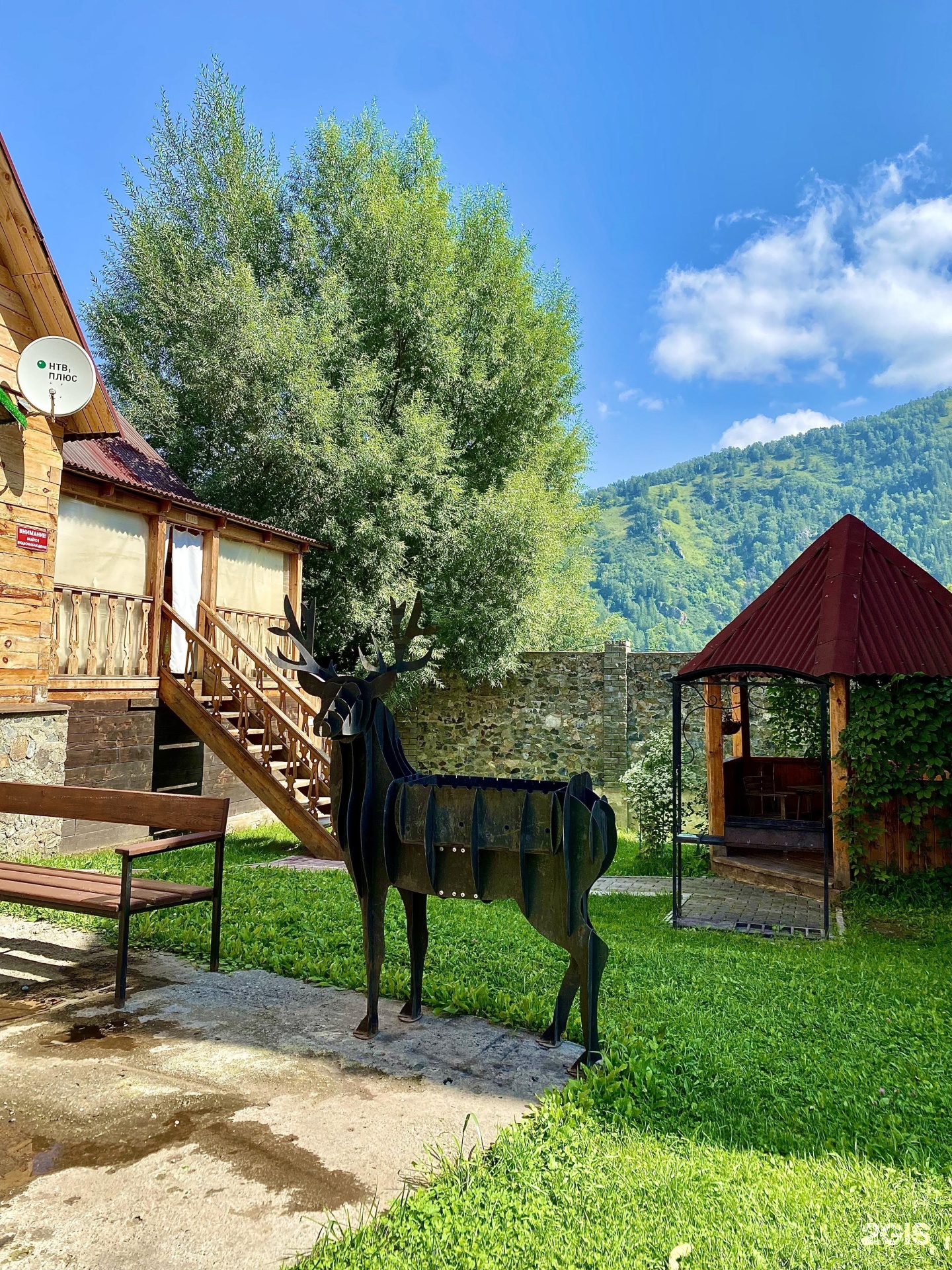 Малина - фото 4