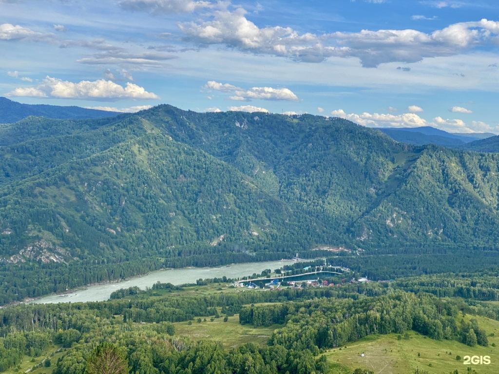 Малина - фото 5