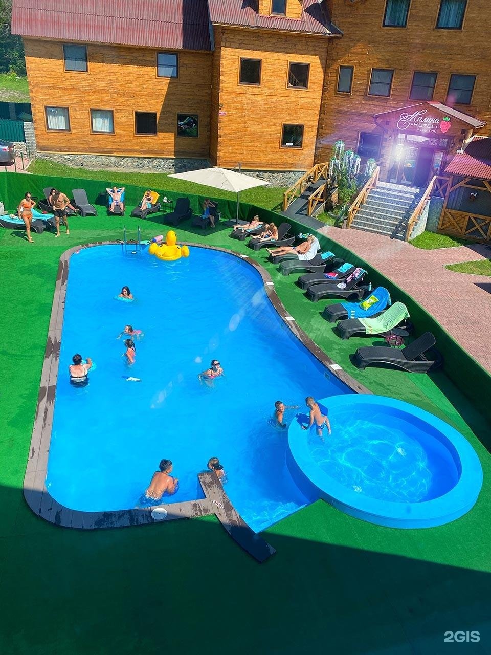 Малина - фото 47