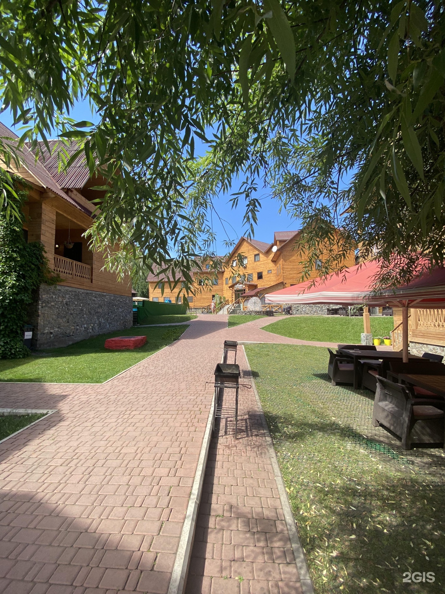 Малина - фото 48