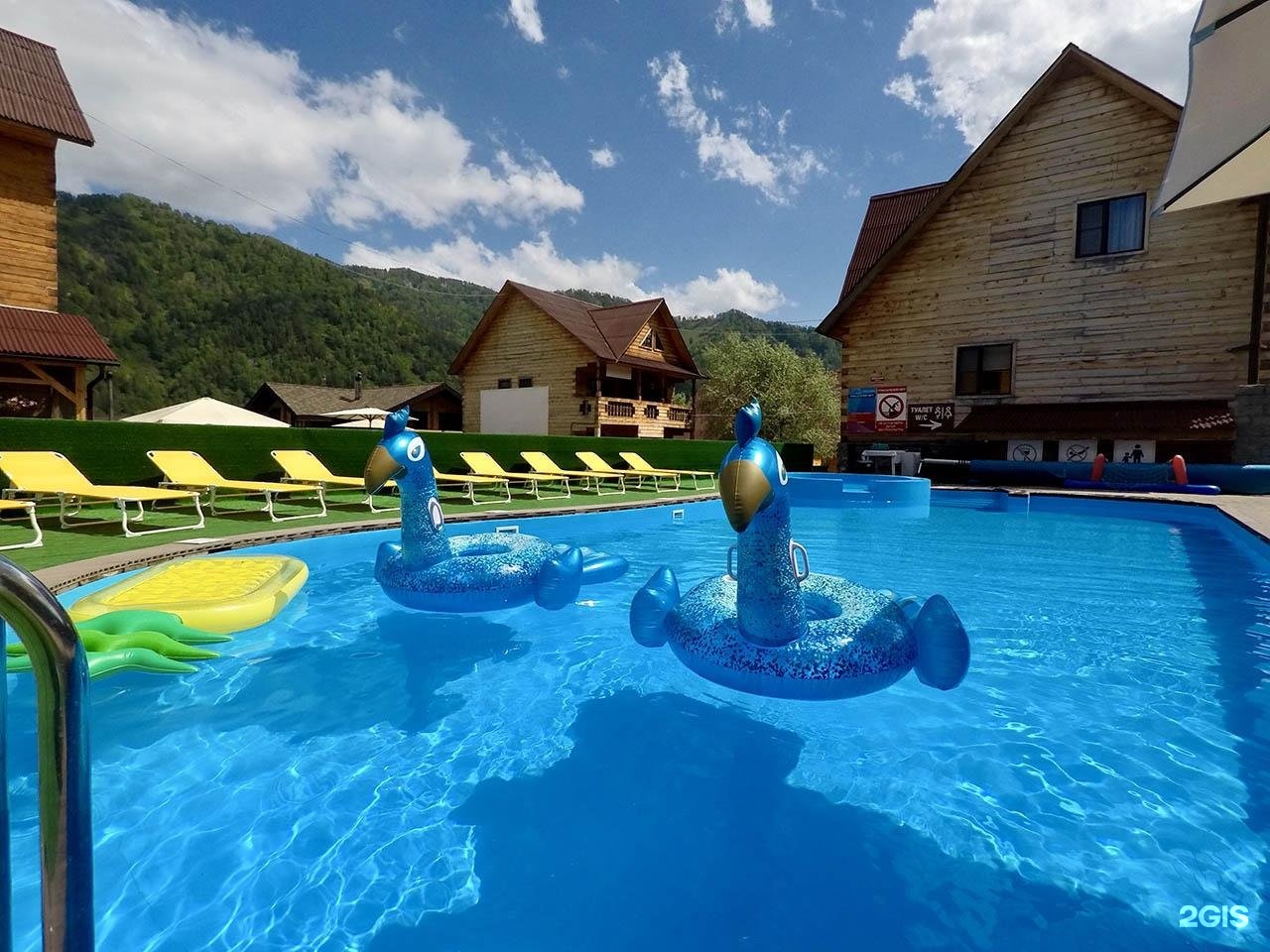 Малина - фото 52