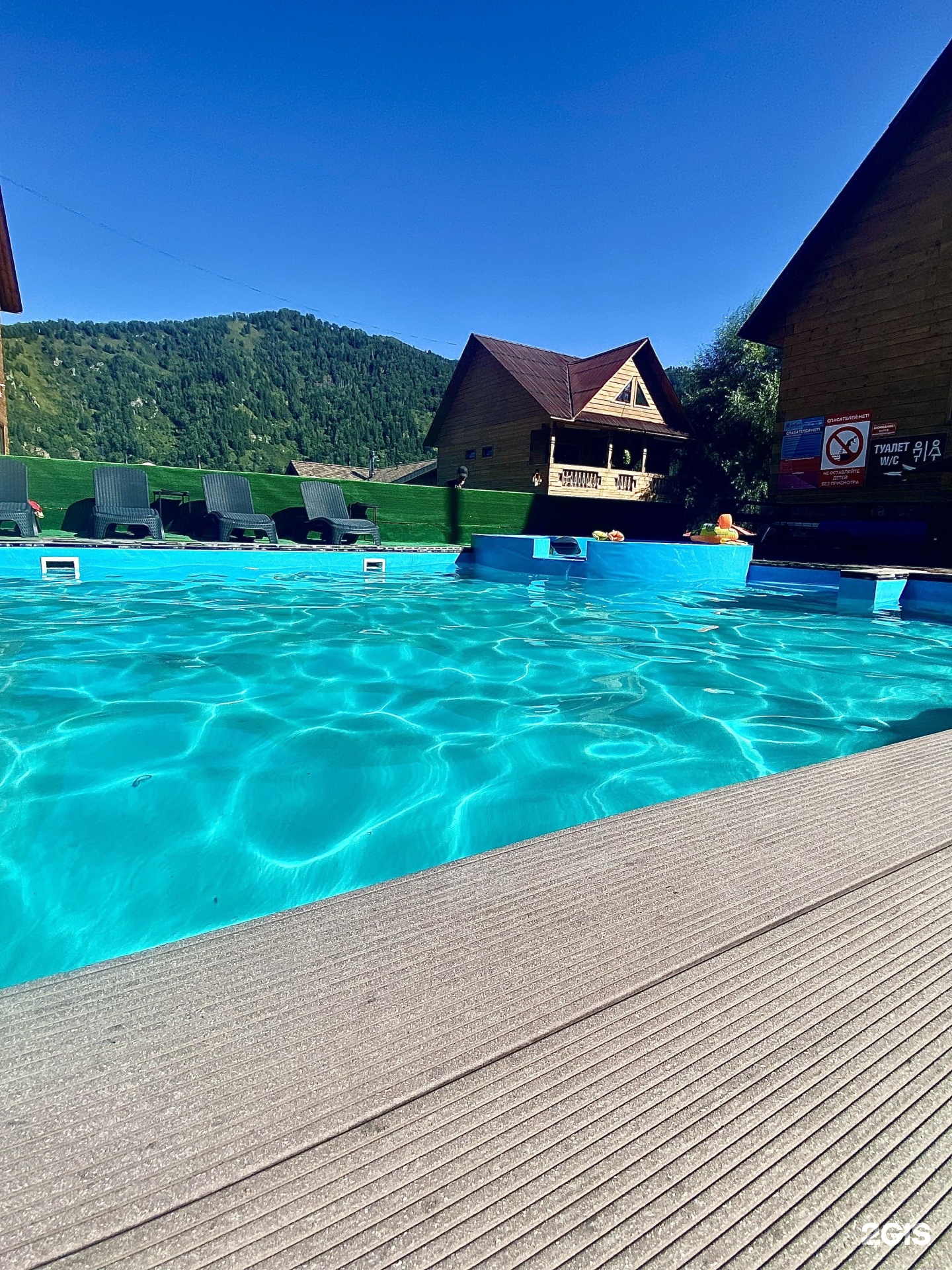 Малина - фото 53