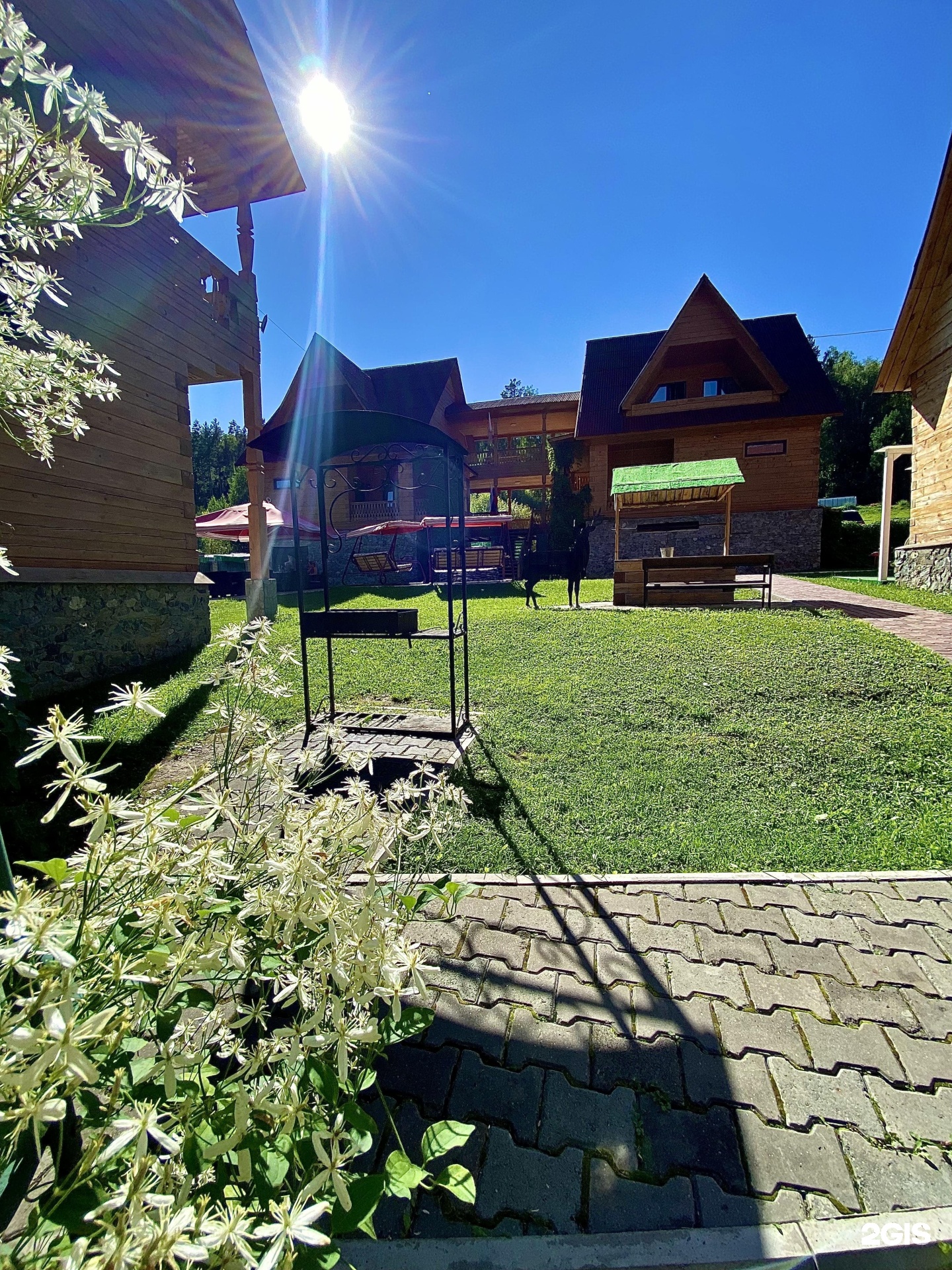 Малина - фото 54