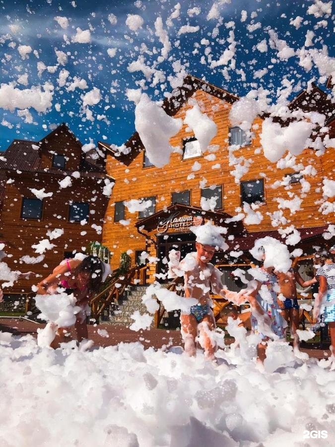 Малина - фото 62