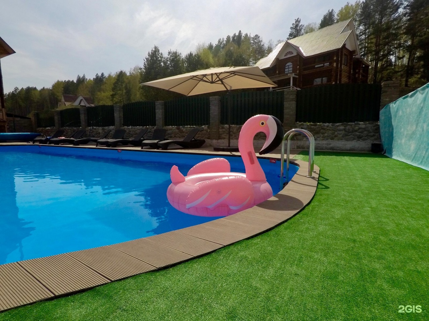 Малина - фото 67